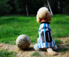 匠心品质铸造美妆精品——膚皇集團产品质量管理体系探秘